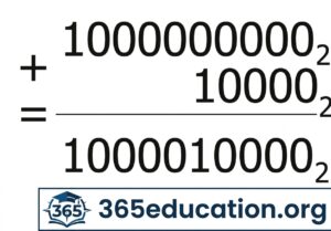456456